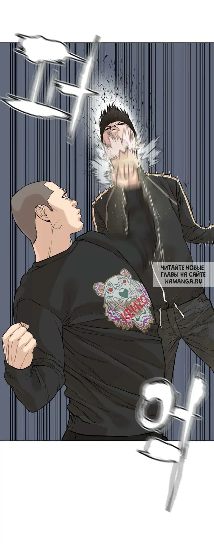 Page 6.000