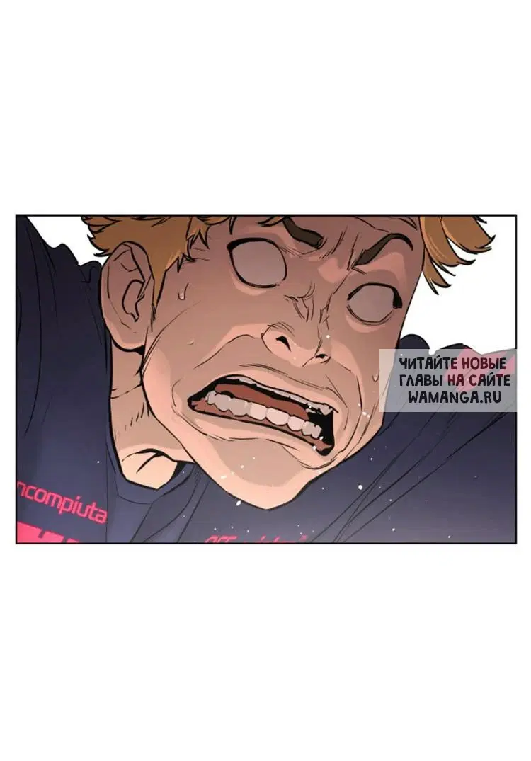 Page 81.000