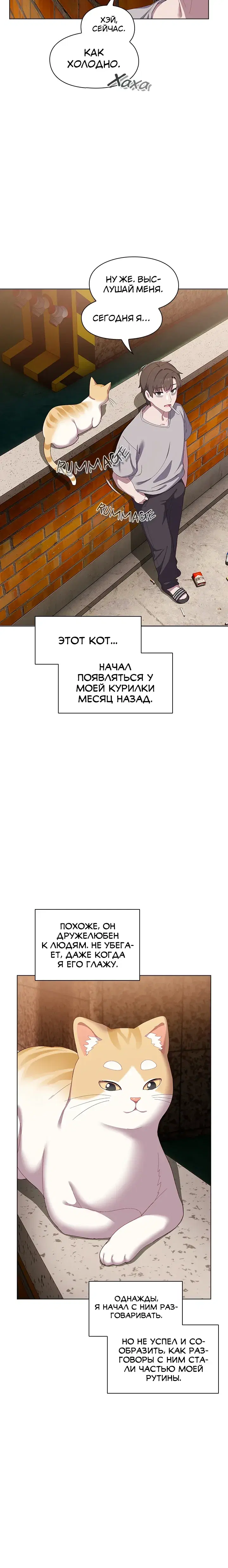 Page 4.001