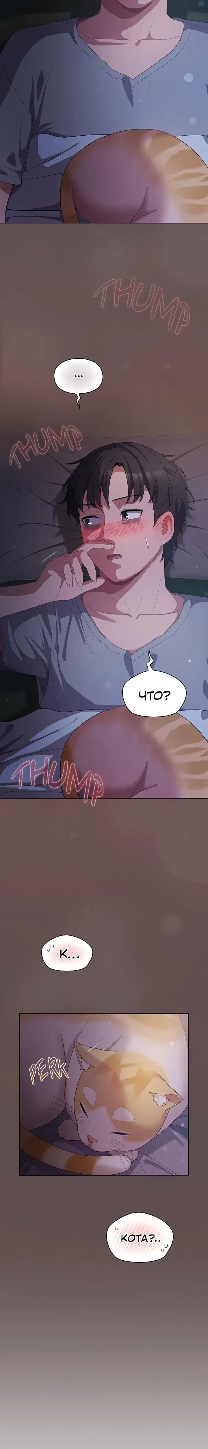 Page 6.001
