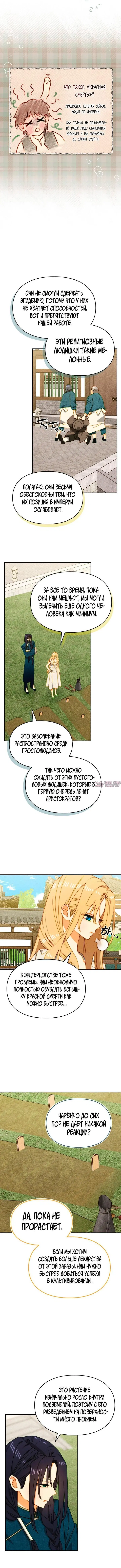 «Приручение сильнейшего героя», глава 22, страница 4.001000000