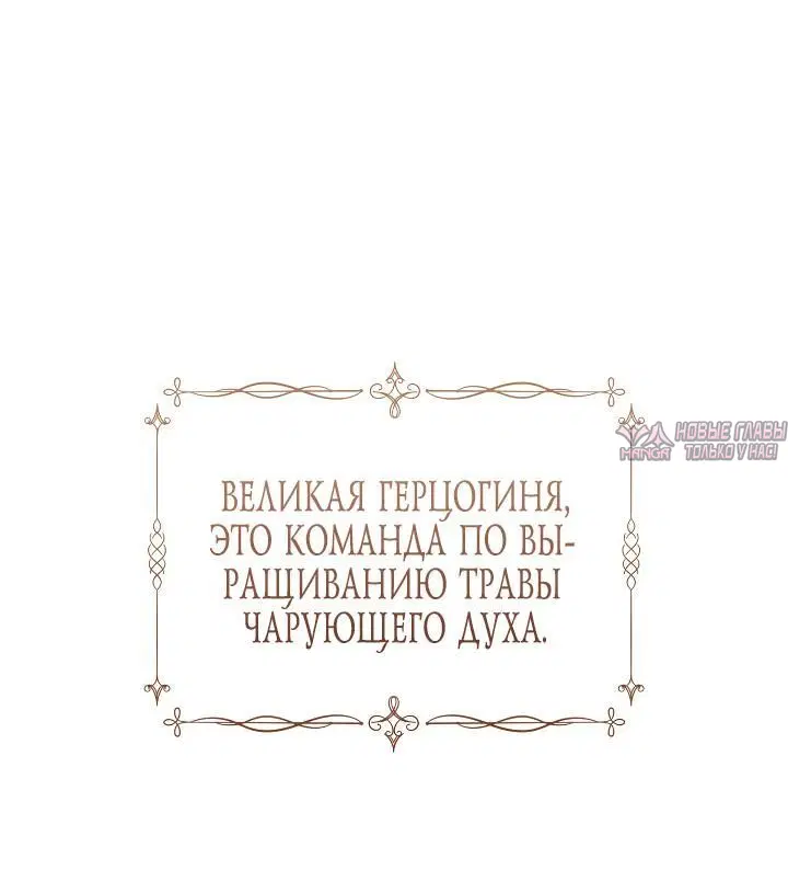 «Приручение сильнейшего героя», глава 37, страница 4.001000000