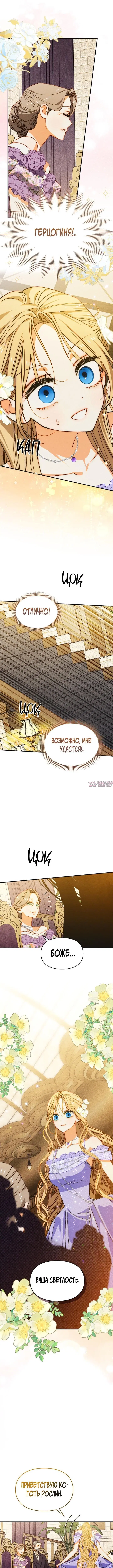 «Приручение сильнейшего героя», глава 25, страница 5.000000000
