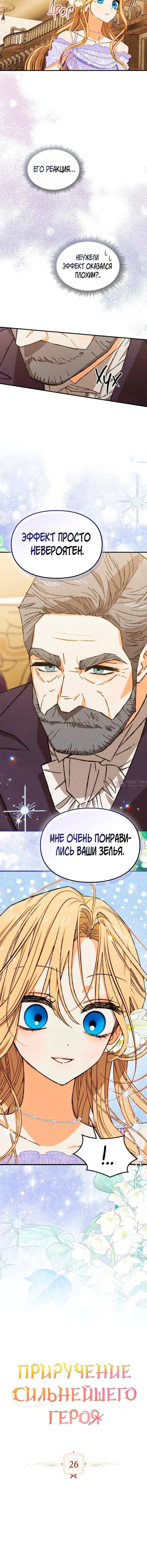«Приручение сильнейшего героя», глава 26, страница 1.001000000