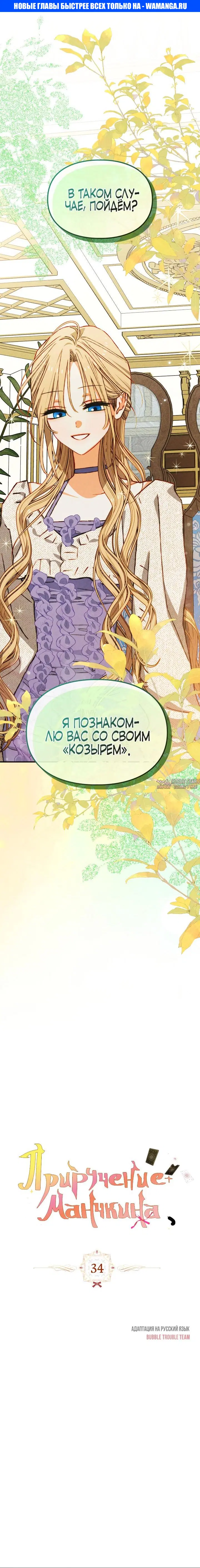 «Приручение сильнейшего героя», глава 34, страница 1.000000000
