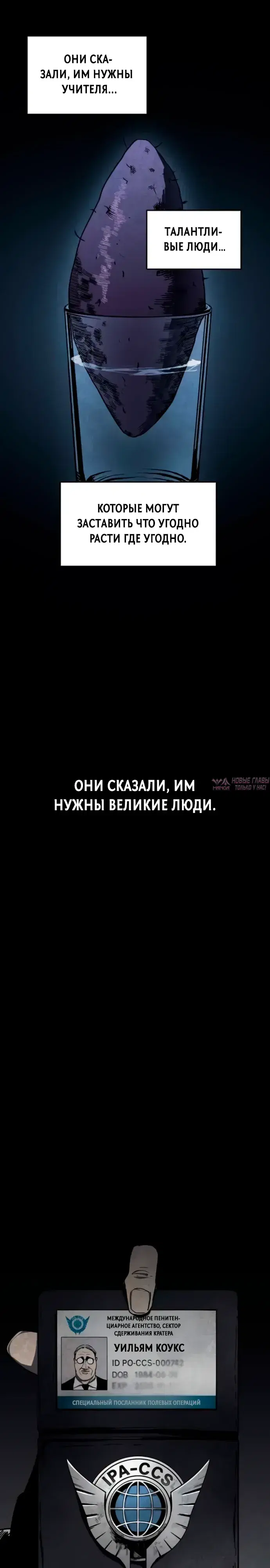 Page 17.000000000