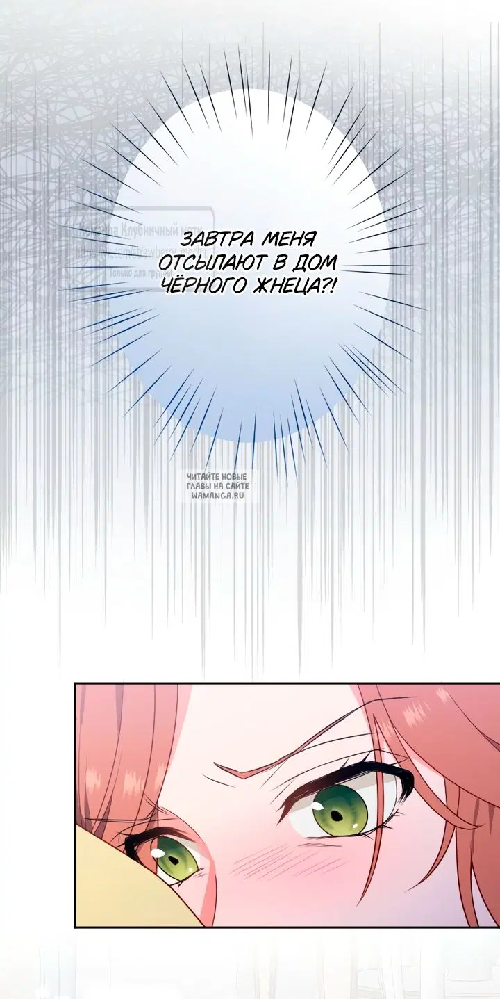 Page 42.000