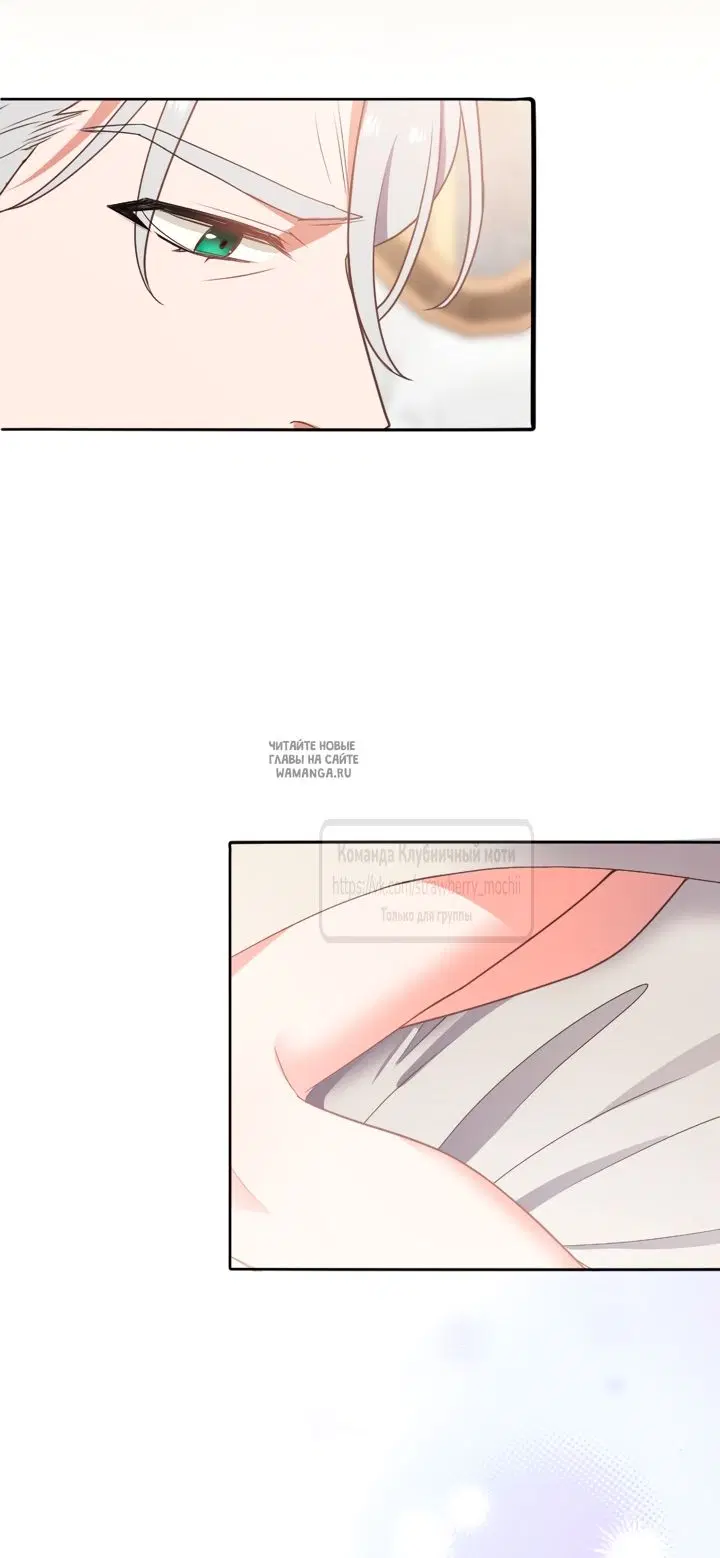 Page 61.000