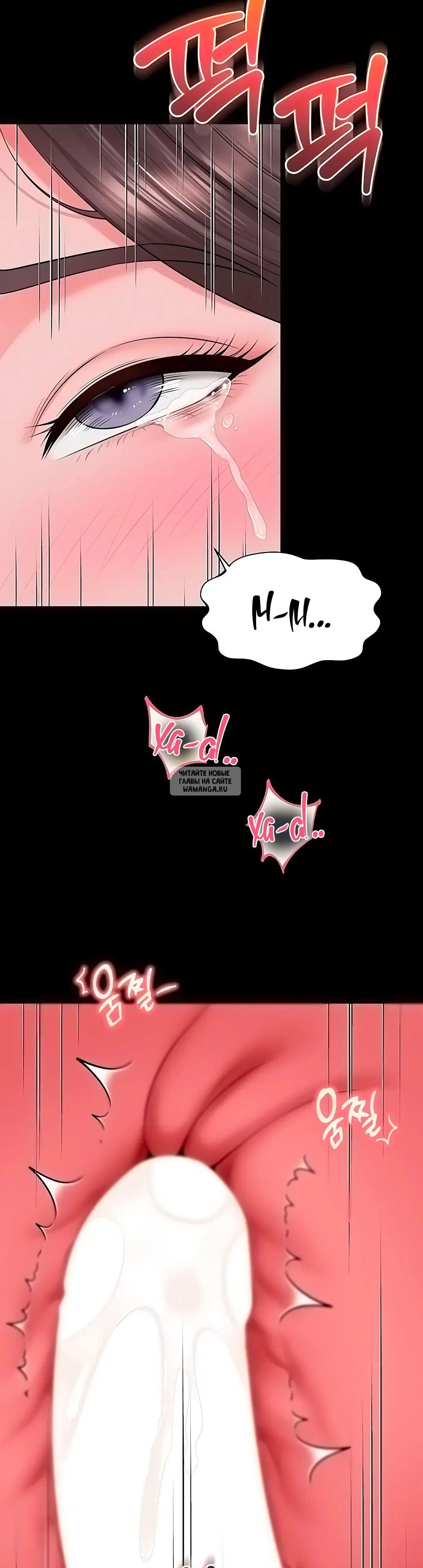 Page 28.000