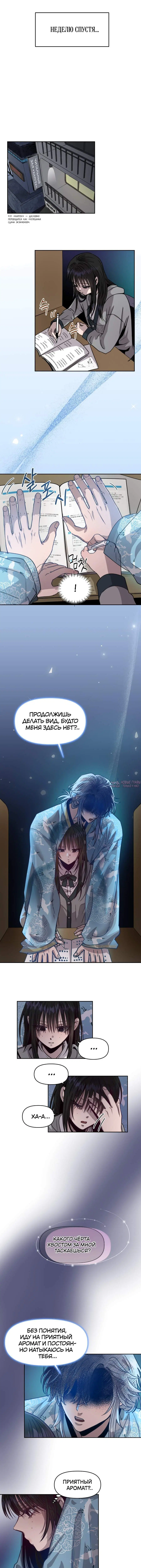Page 5.001