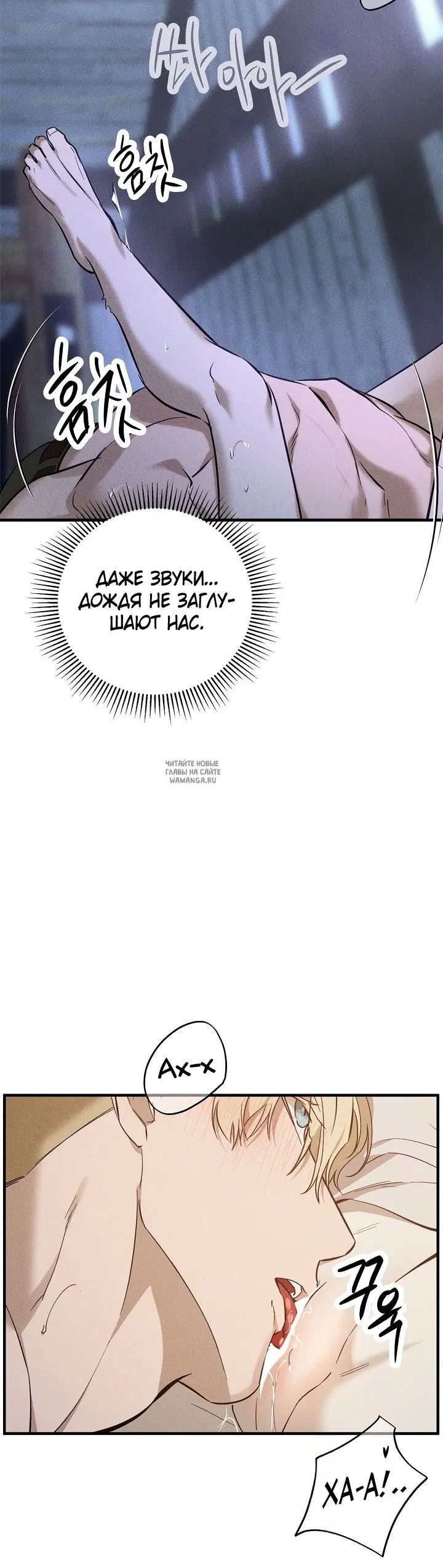 Page 20.000
