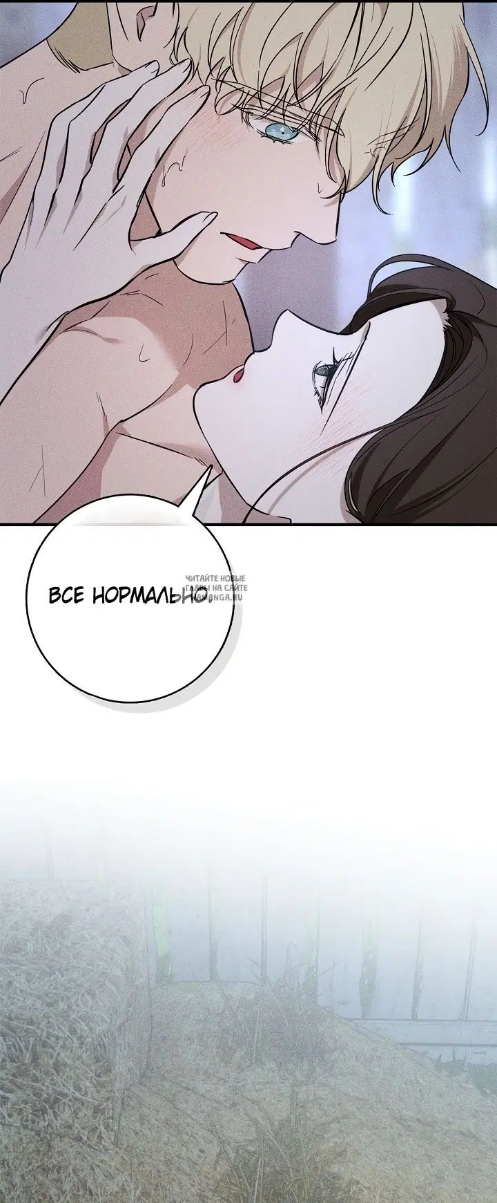 Page 31.000