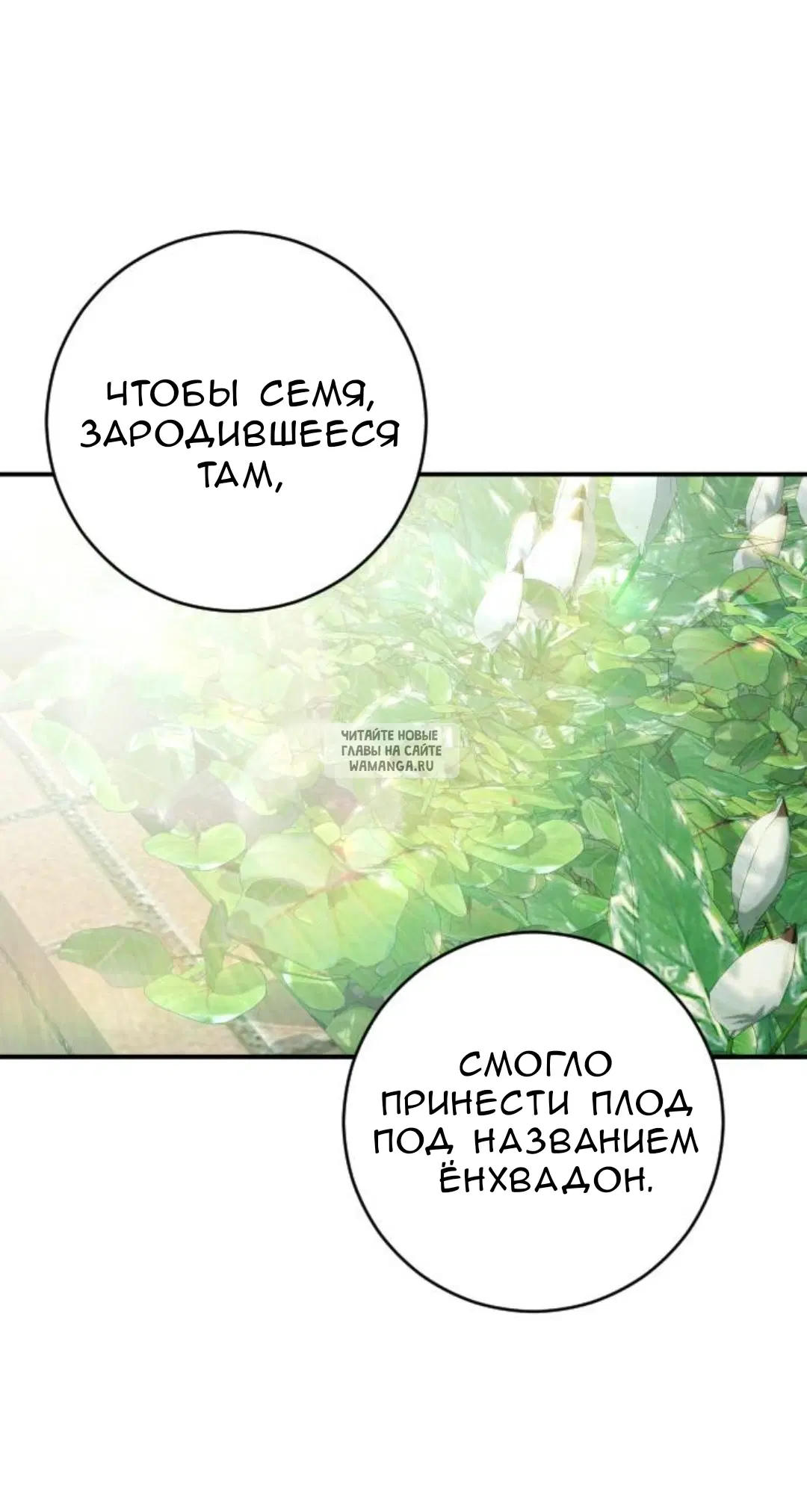 Page 26.000