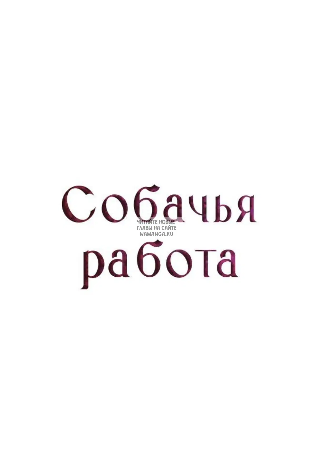 Page 41.000
