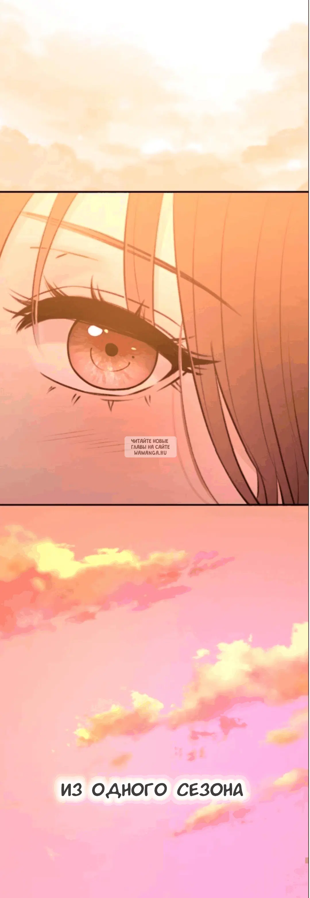 Page 51.000