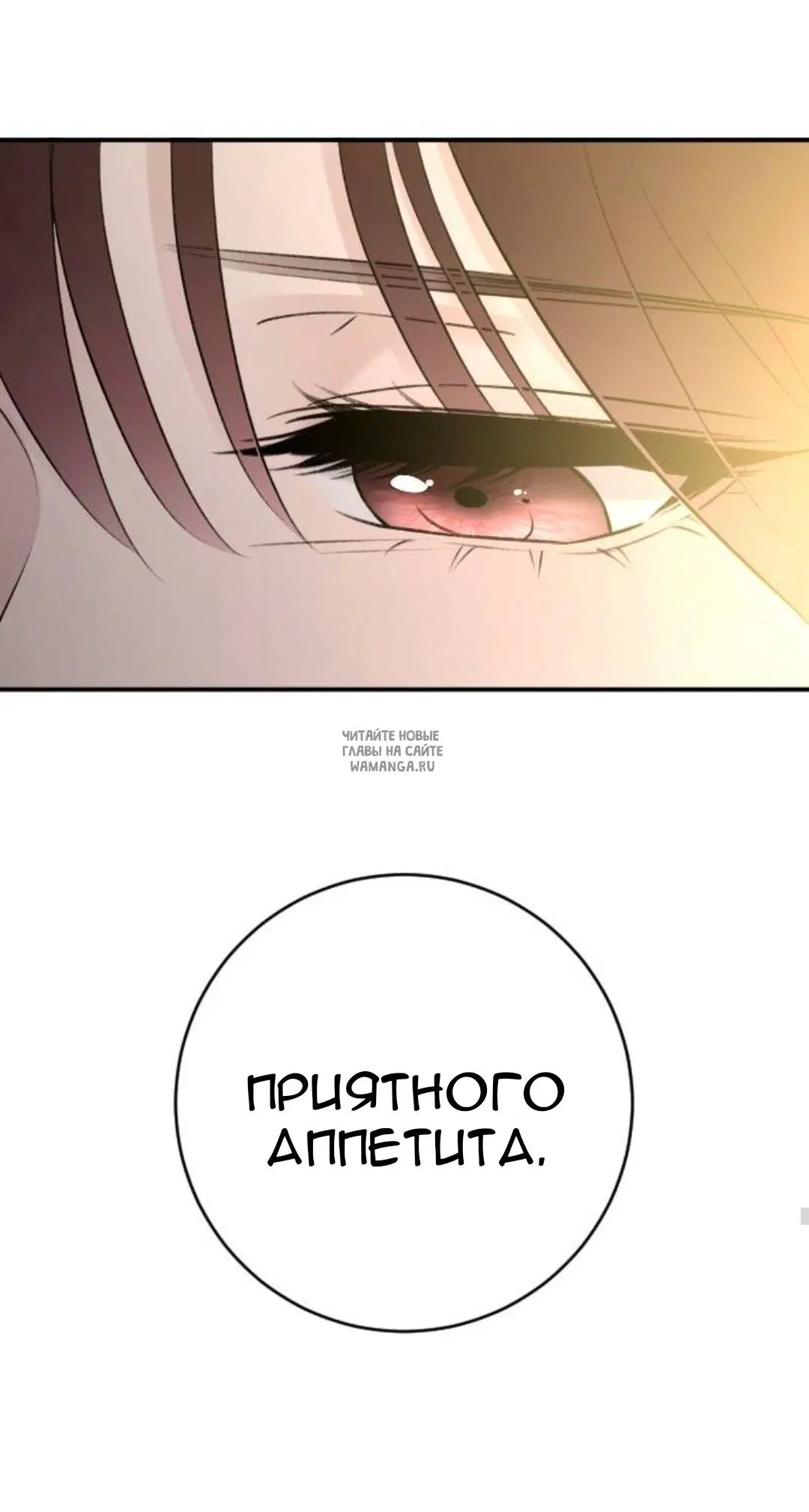 Page 53.000