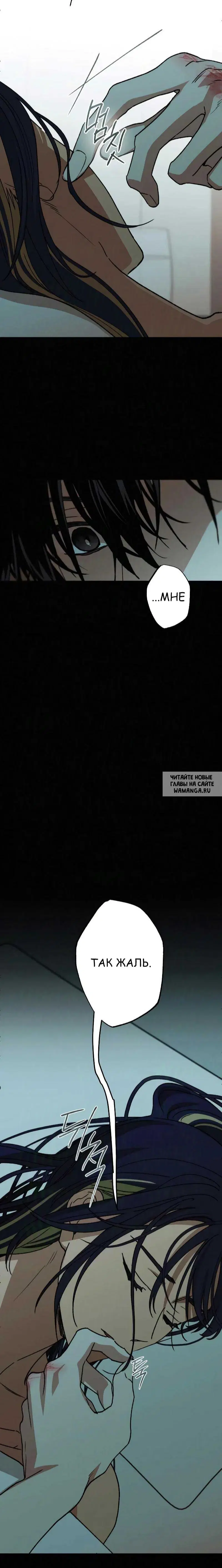 Page 21.000