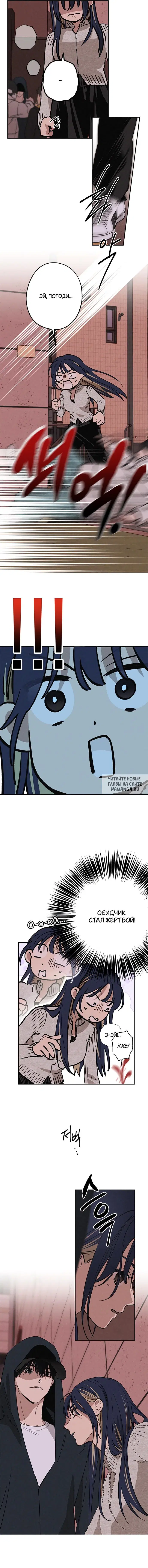 Page 8.000