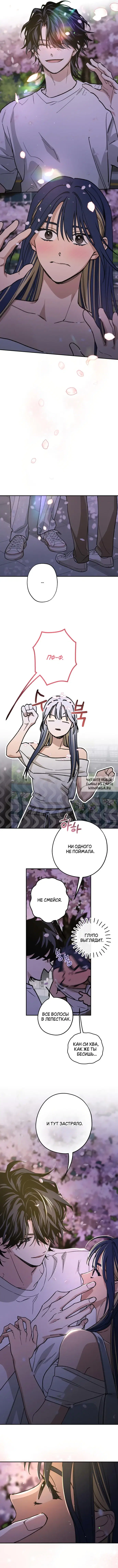 Page 8.000