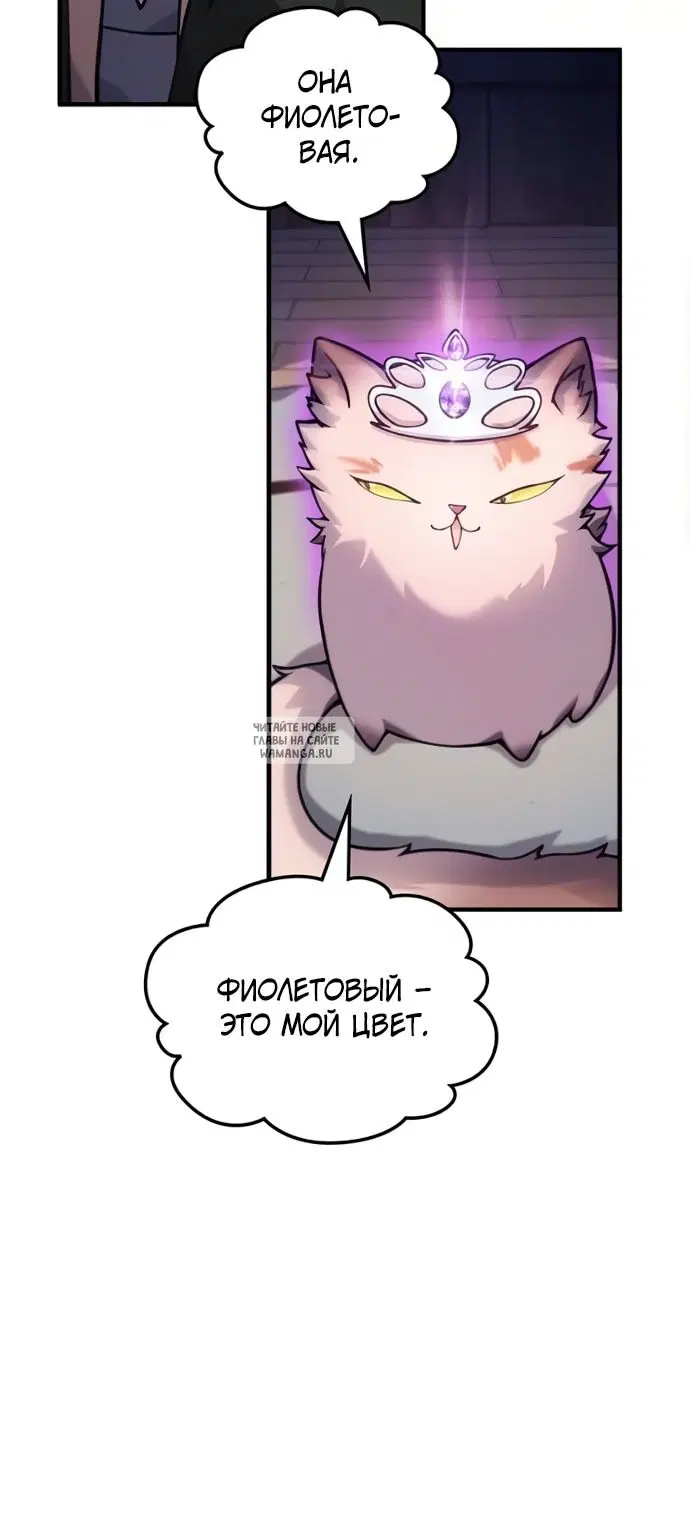 Page 49.000