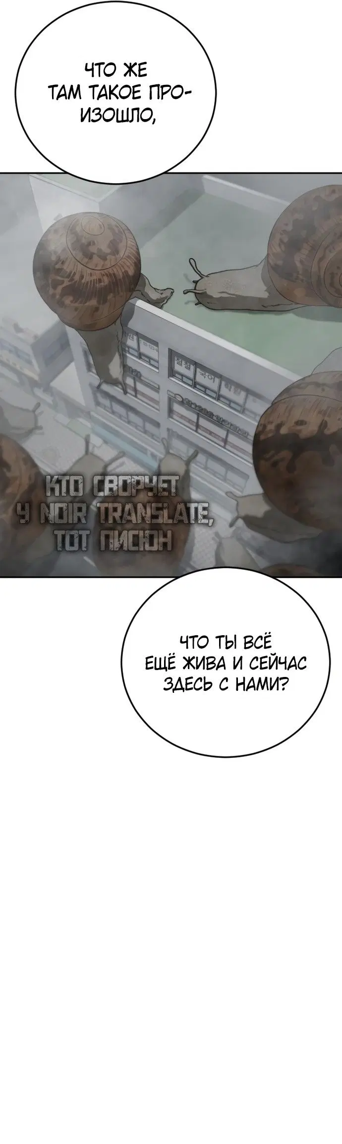 Page 43.000