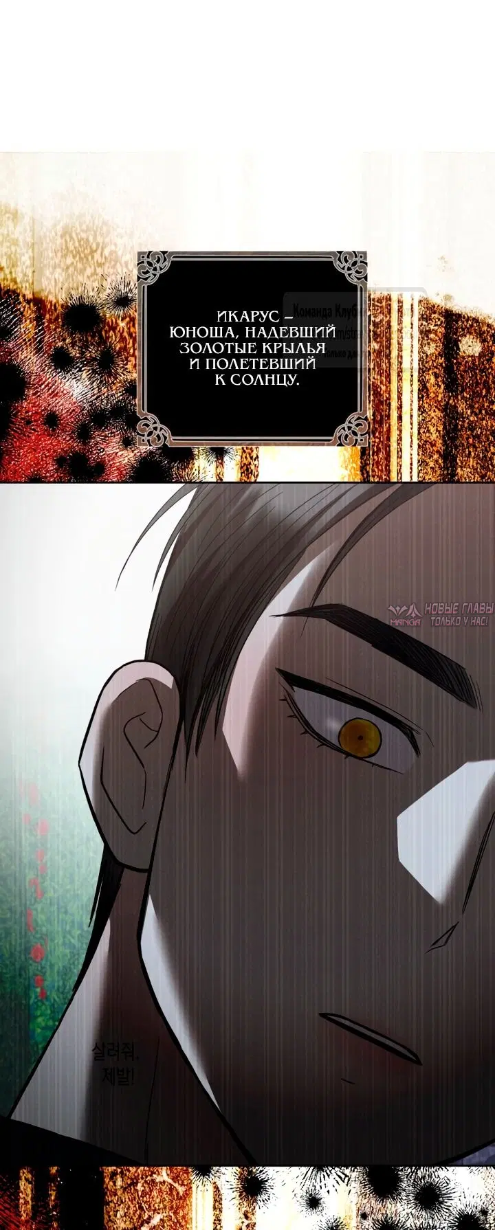Page 31.000000000
