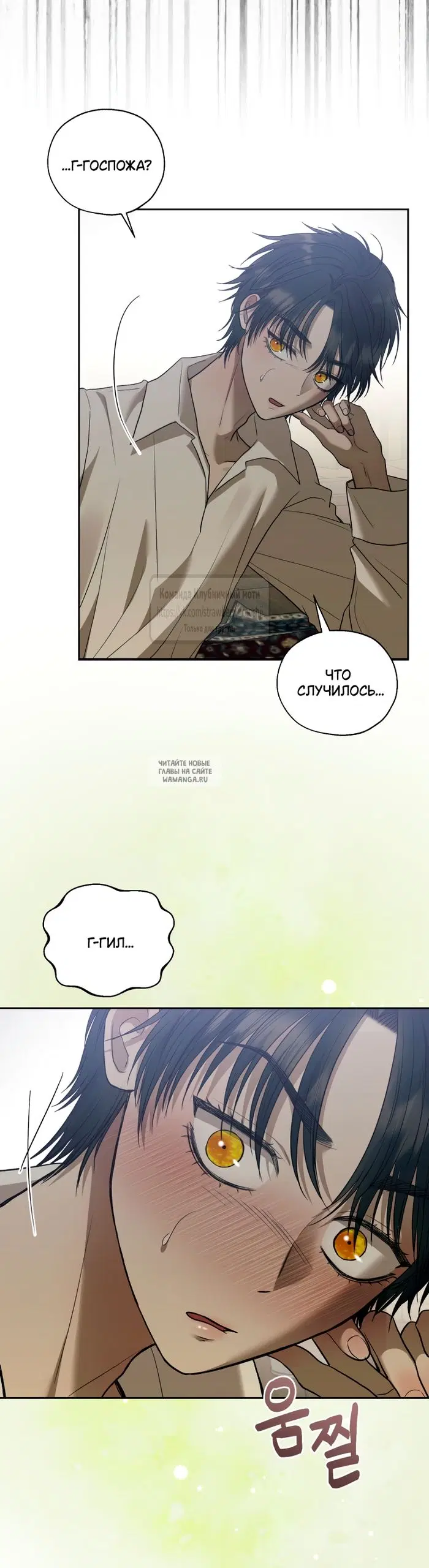 Page 20.000