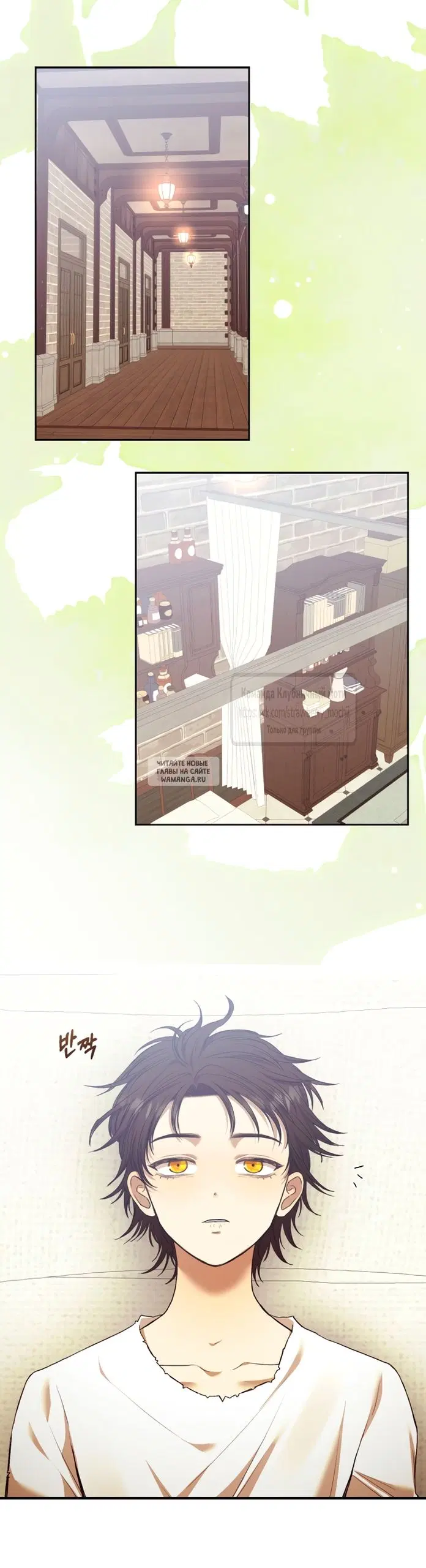 Page 31.000