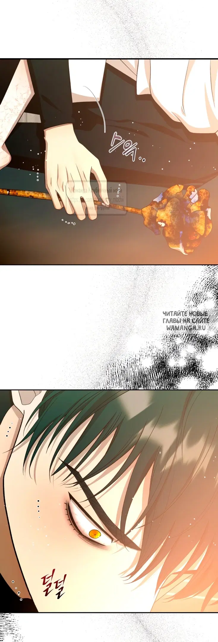 Page 41.000
