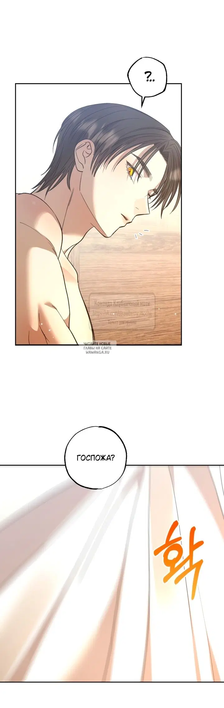 Page 41.000