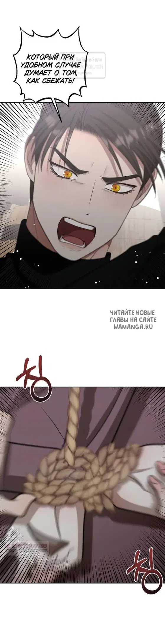 Page 43.000