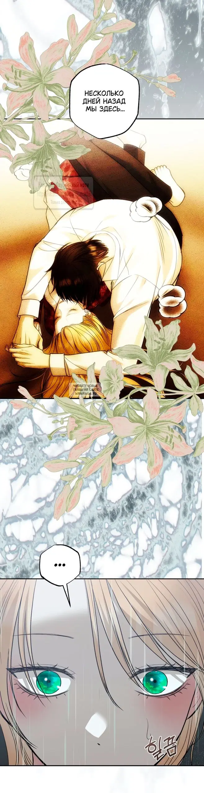 Page 50.000