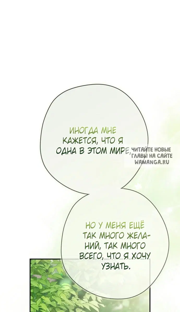 Page 48.000
