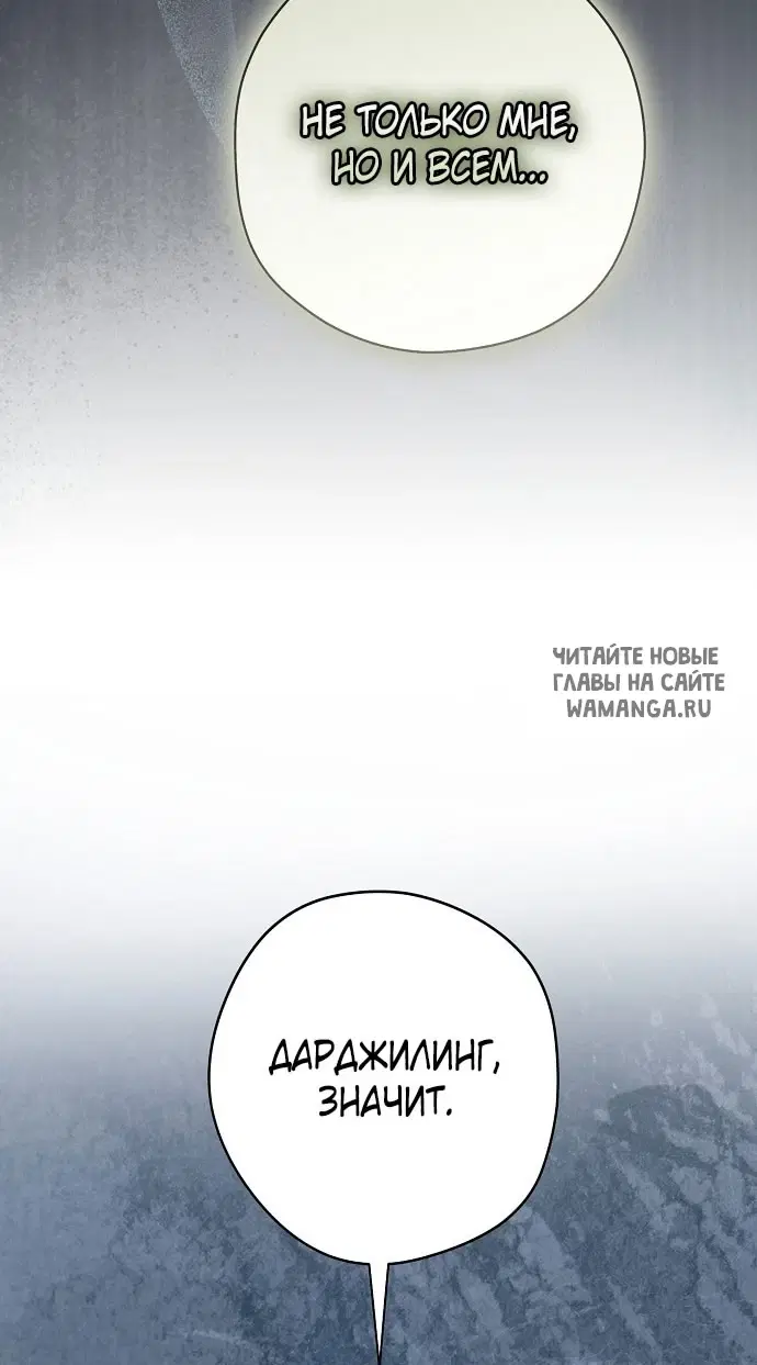 Page 49.000