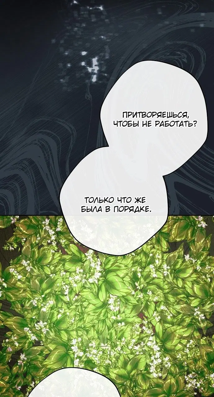Page 41.000
