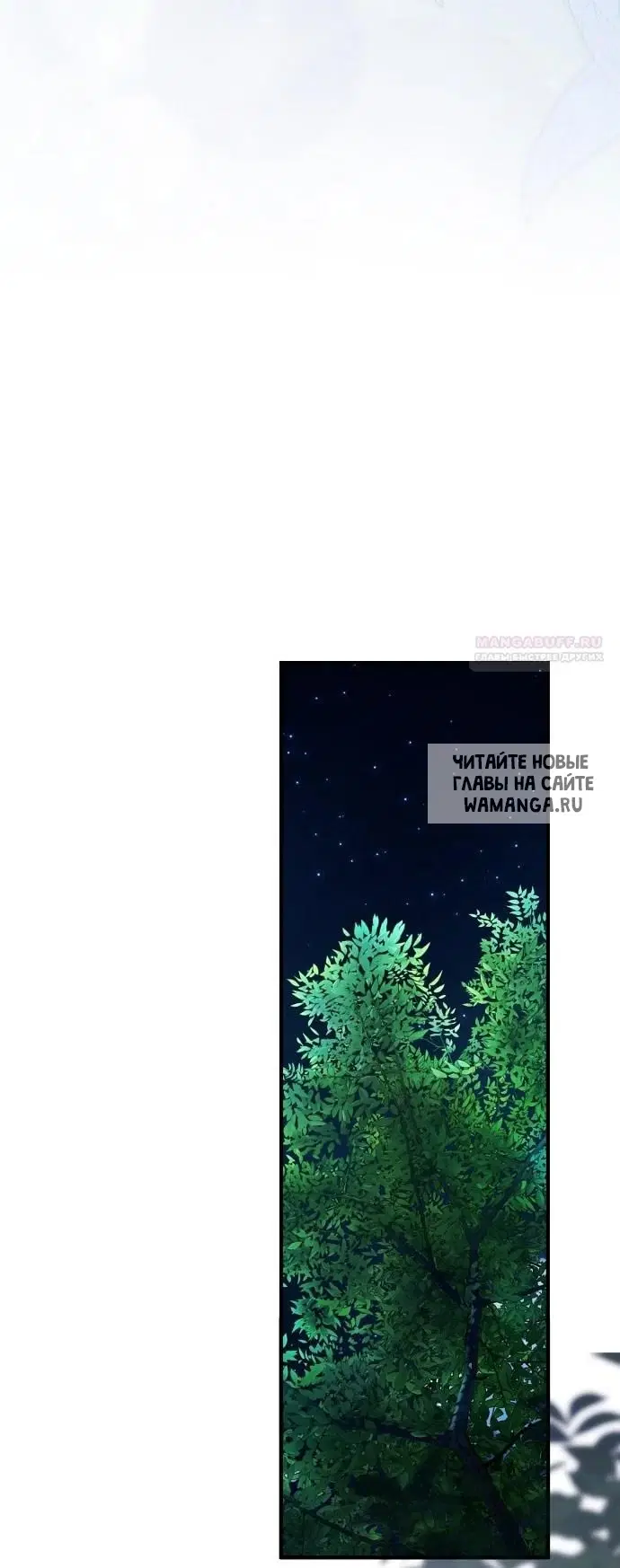 Page 41.000