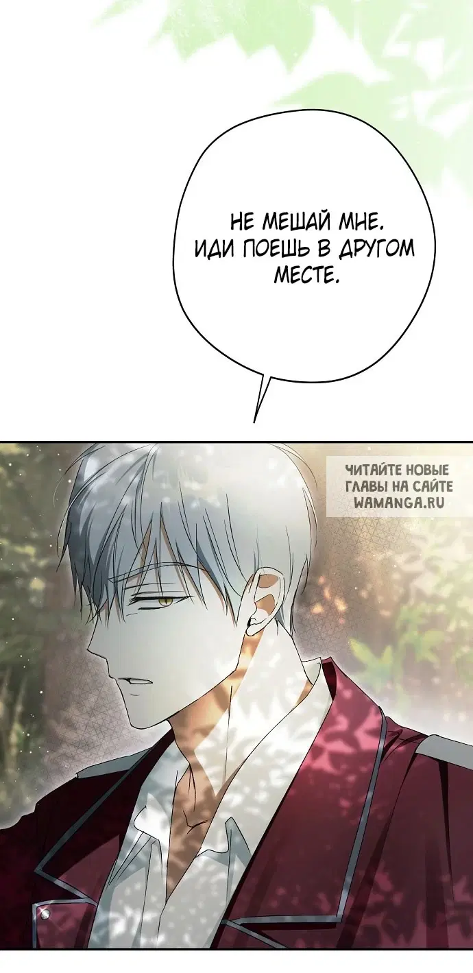 Page 42.000
