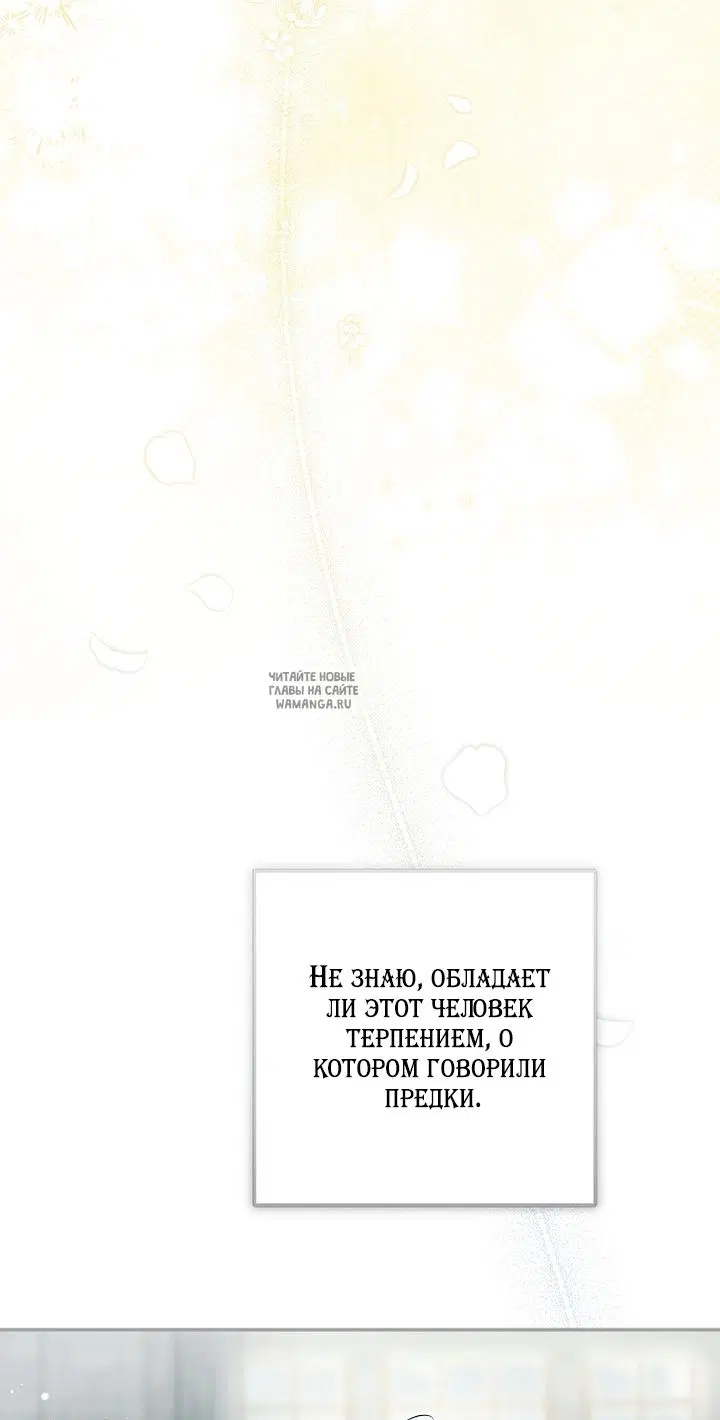 Page 42.000