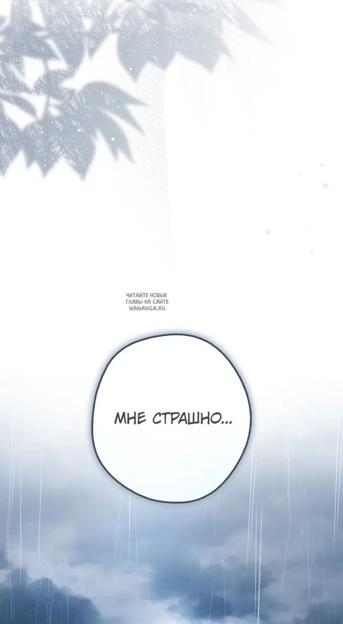 Page 79.000
