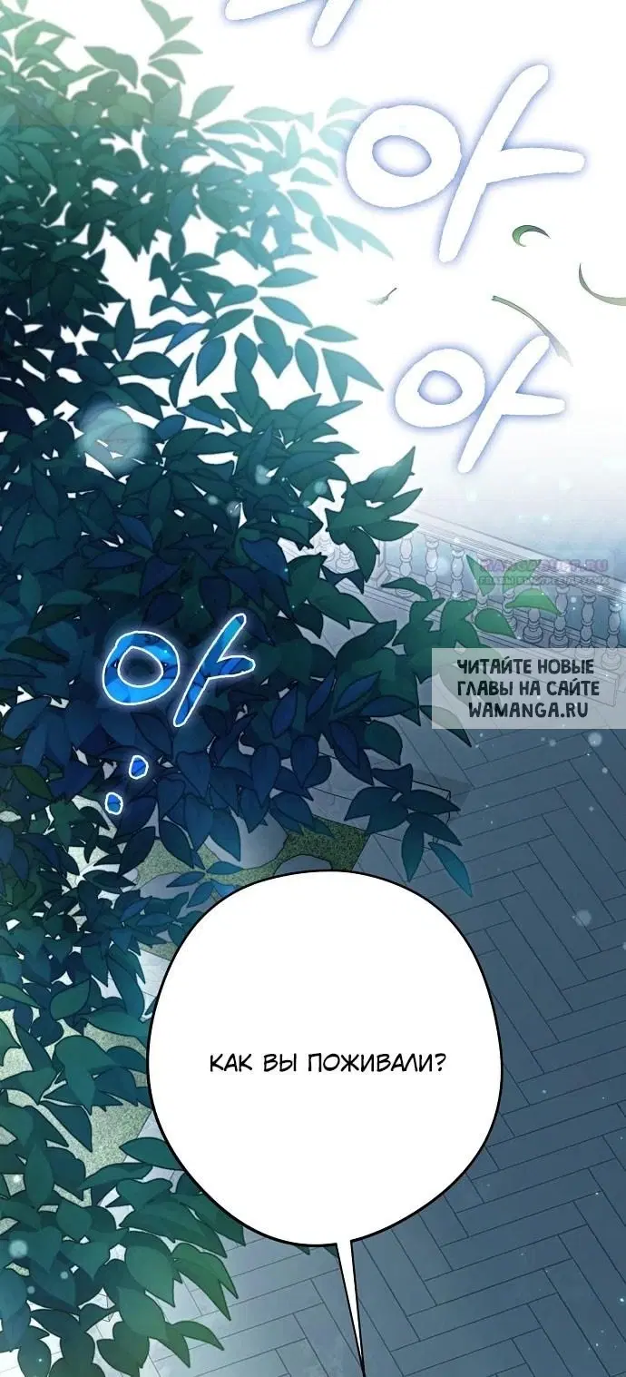 Page 71.000