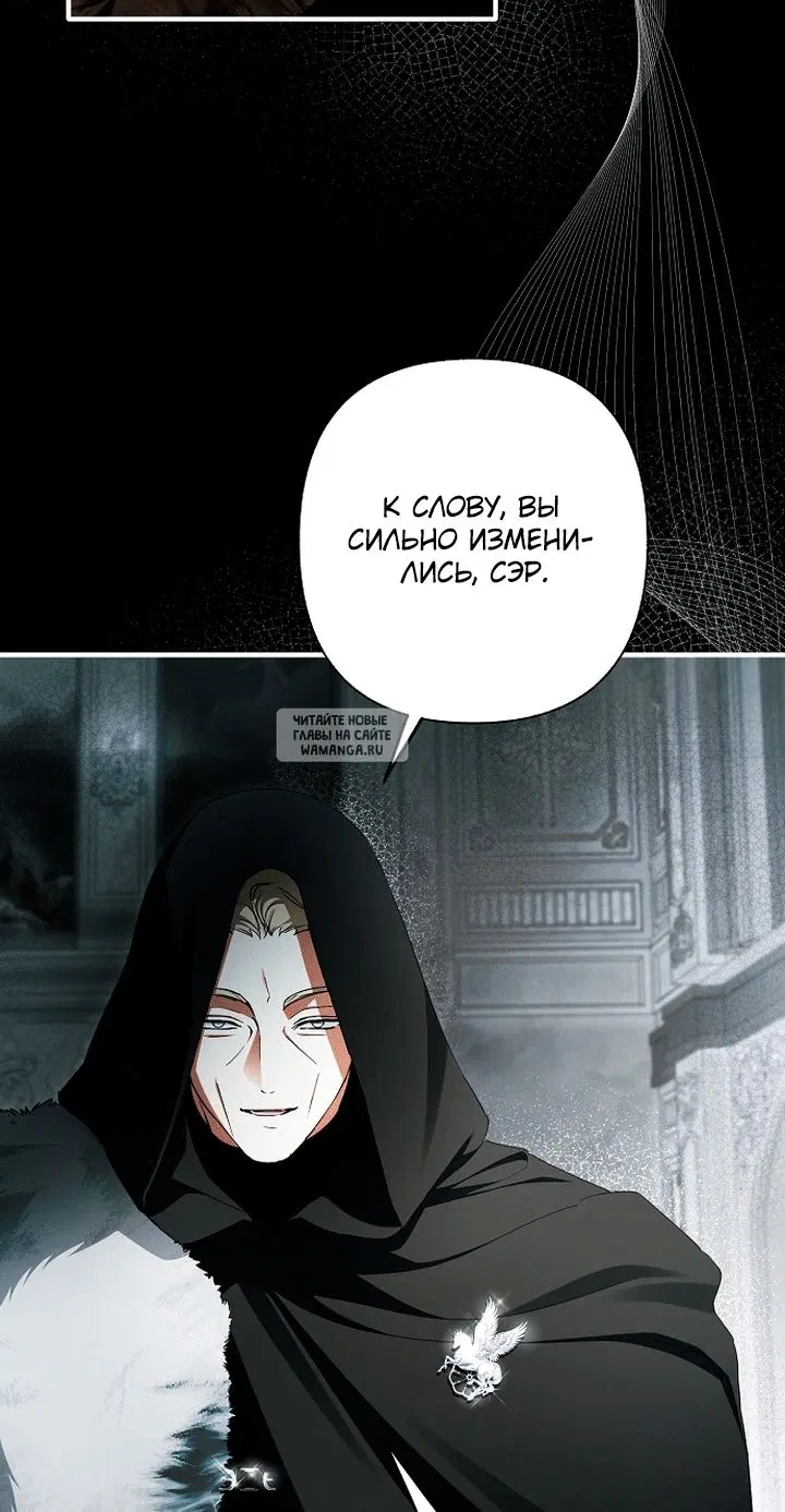 Page 81.000