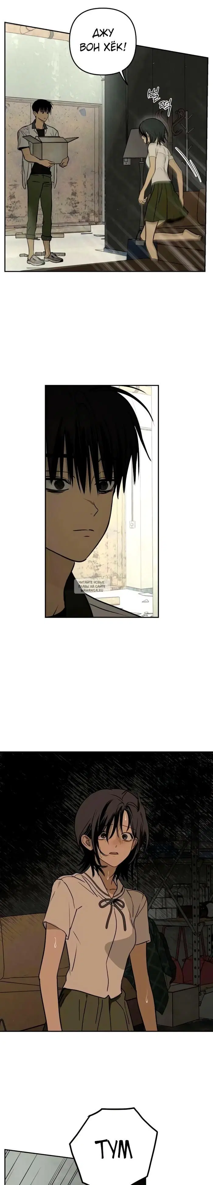 Page 13.000