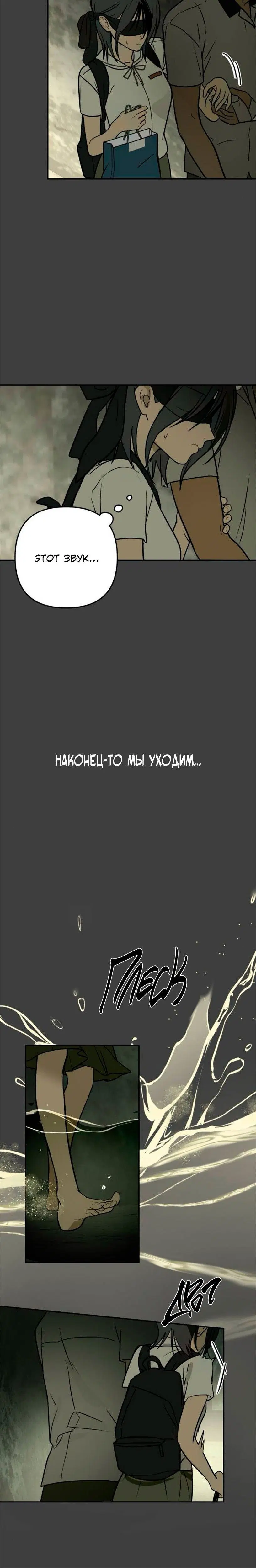 Page 5.001