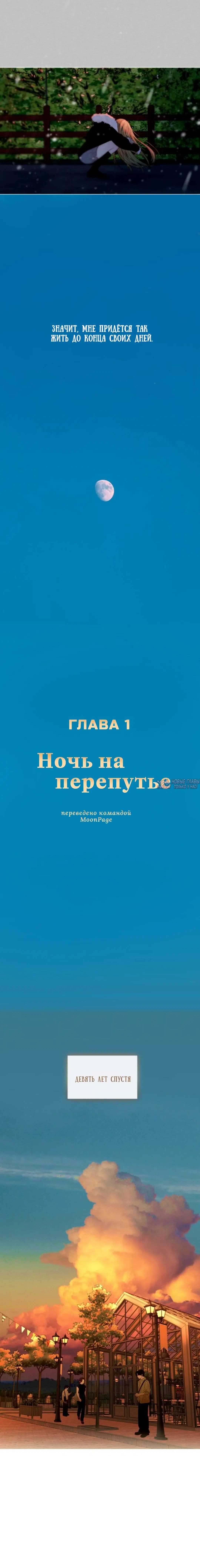 «Ночь на перепутье», глава 1, страница 26.000000000