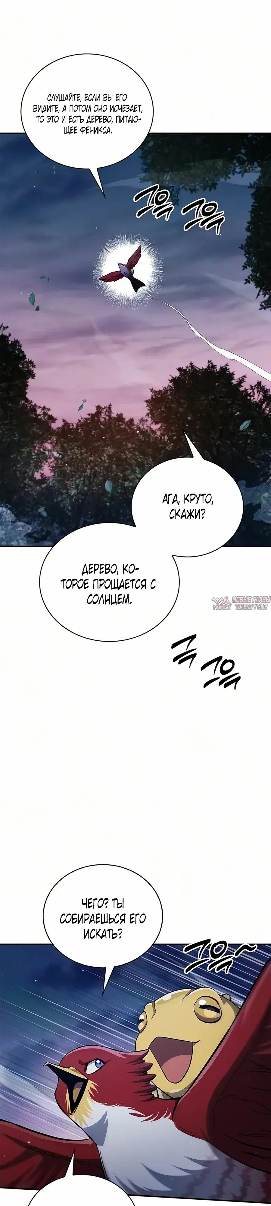 Page 41.000