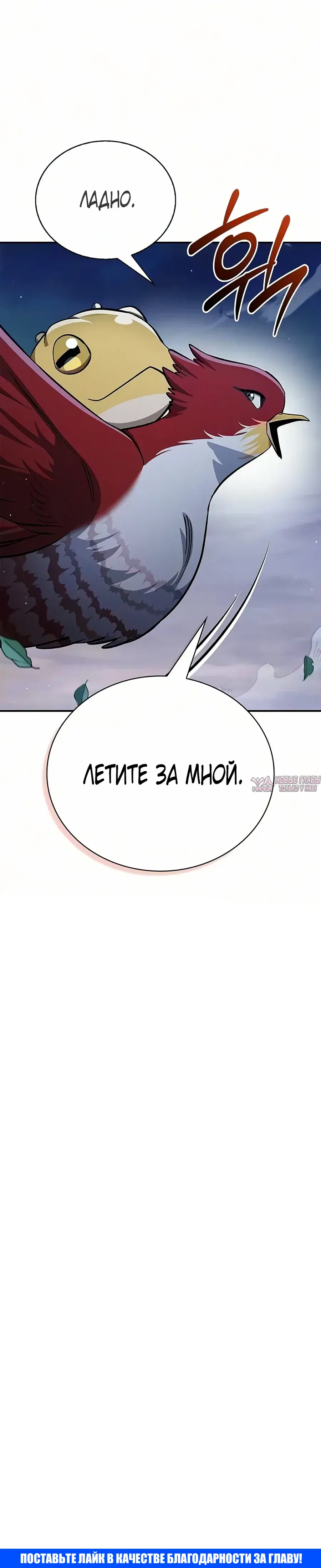 Page 51.000
