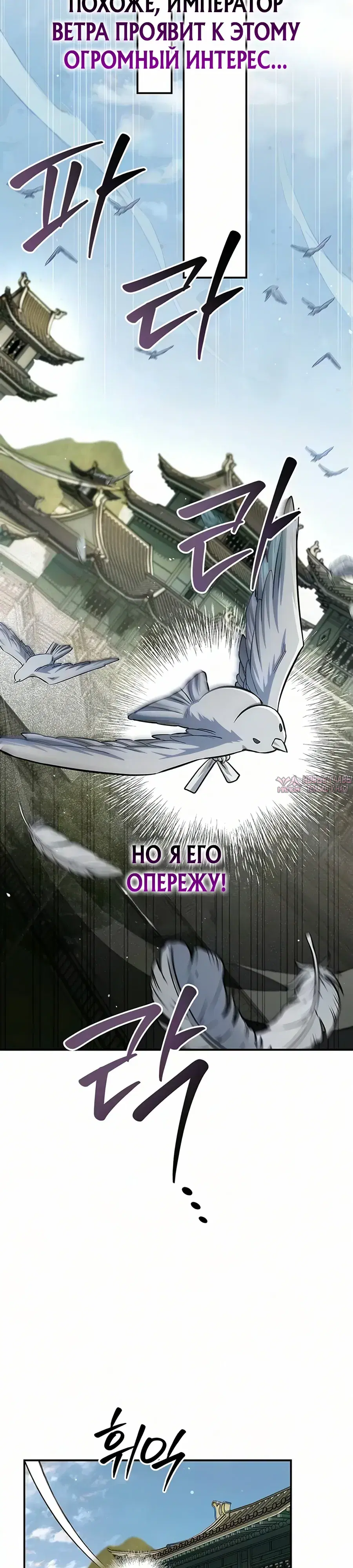 Page 17.000