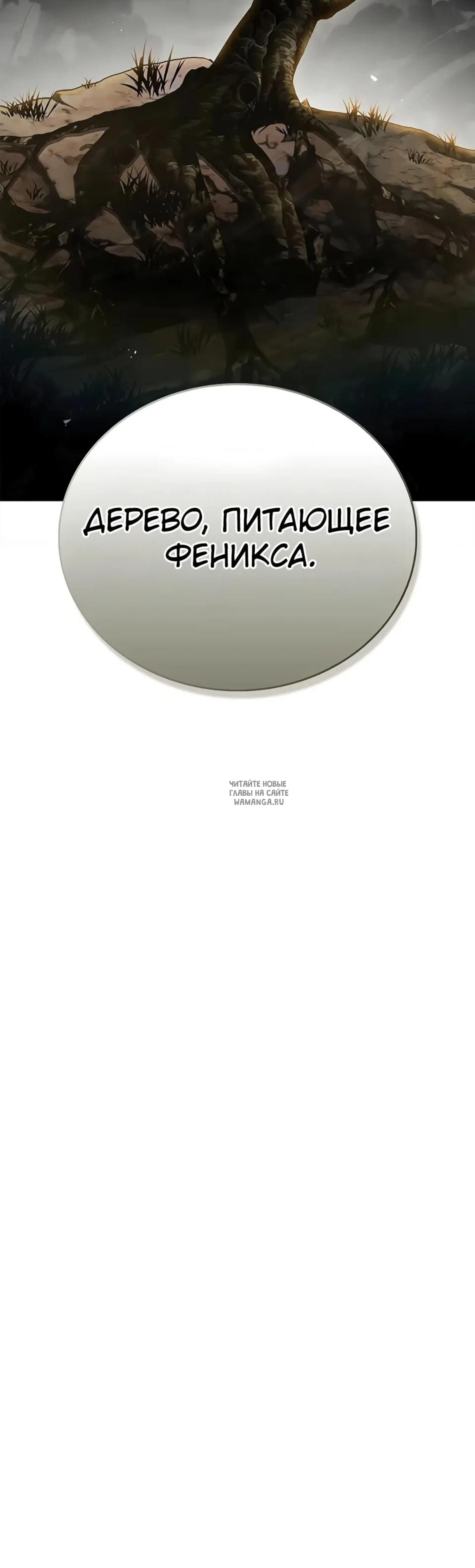 Page 25.000