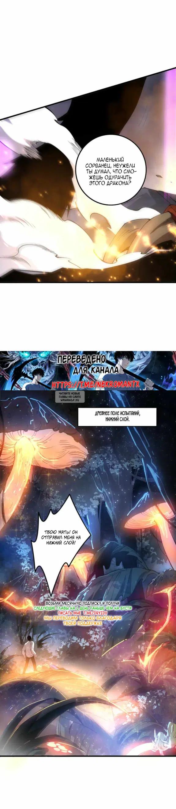 Page 20.000