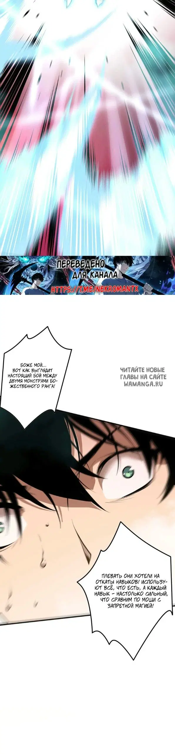 Page 31.000